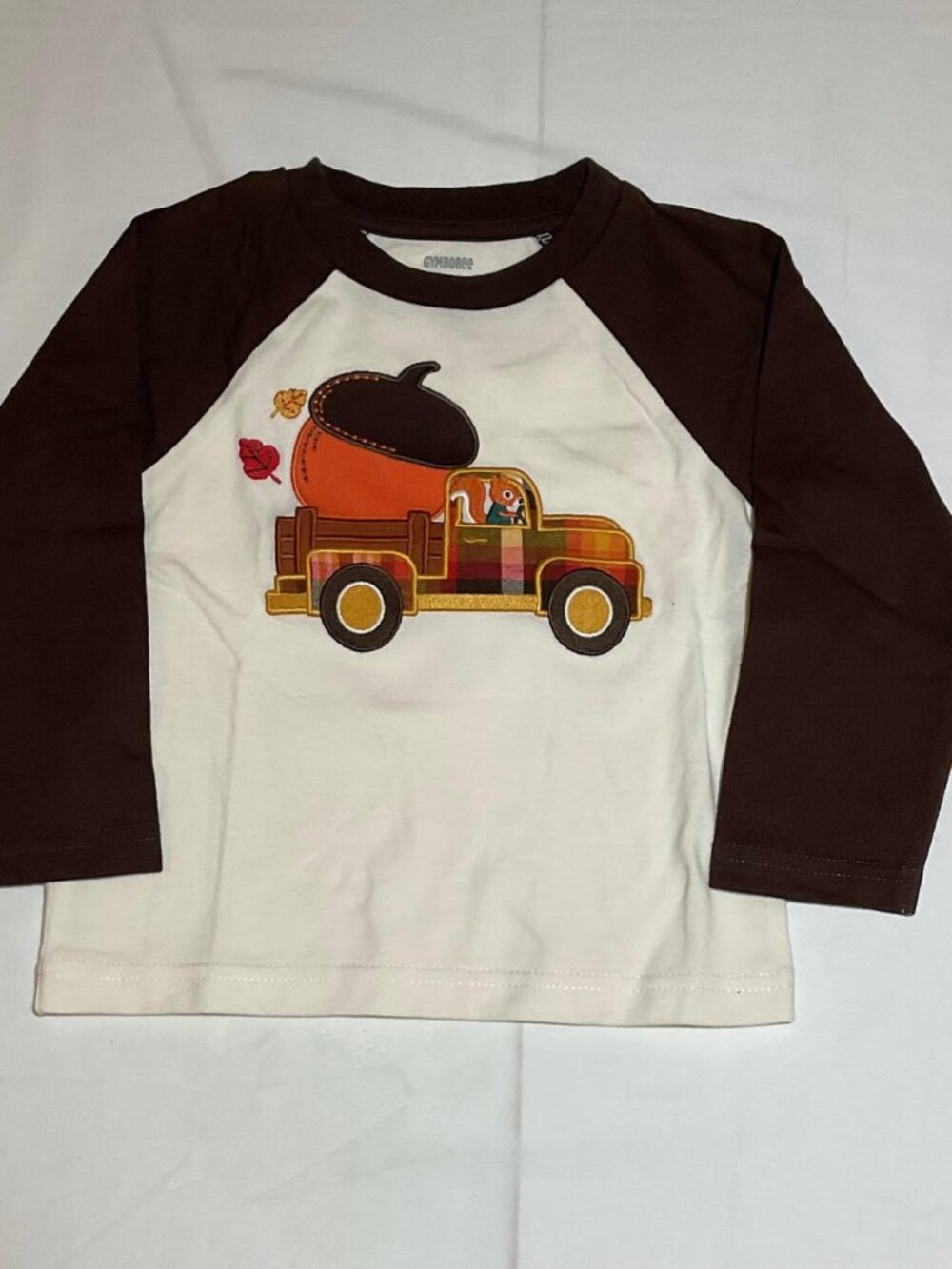 Gymboree Boys 12-18 Months Squirrel Acorn Truck Long Sleeve Raglan Top NWT